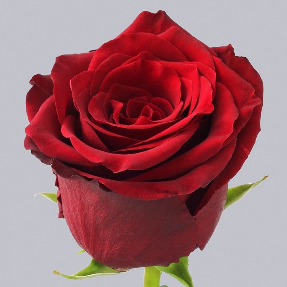 1f0319379eb18890f1d47b3d2d7bf340