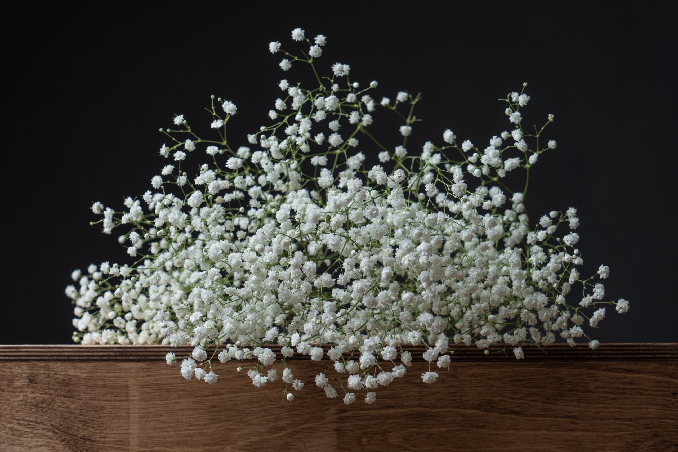 after exposure studio pjt40ogp2mk unsplash