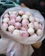Букет из 25 импортных пионов в упаковке