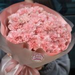Букет из 25 розовых диантусов в упаковке